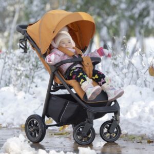 Прогулянкова коляска CARRELLO Bravo Air CRL-5512 Amber Orange