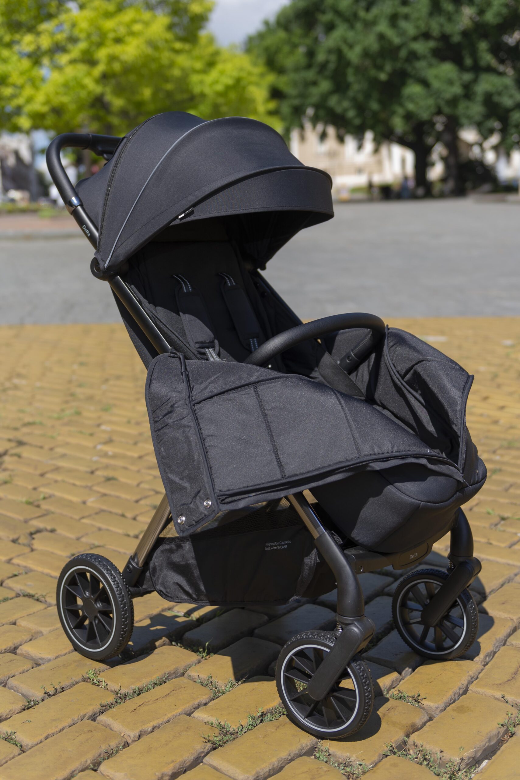 Carrello Delta_018