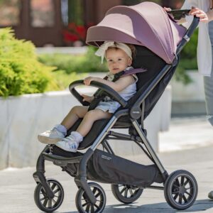 Прогулянкова коляска CARRELLO Delta CRL-5517 Rose Pink 2024