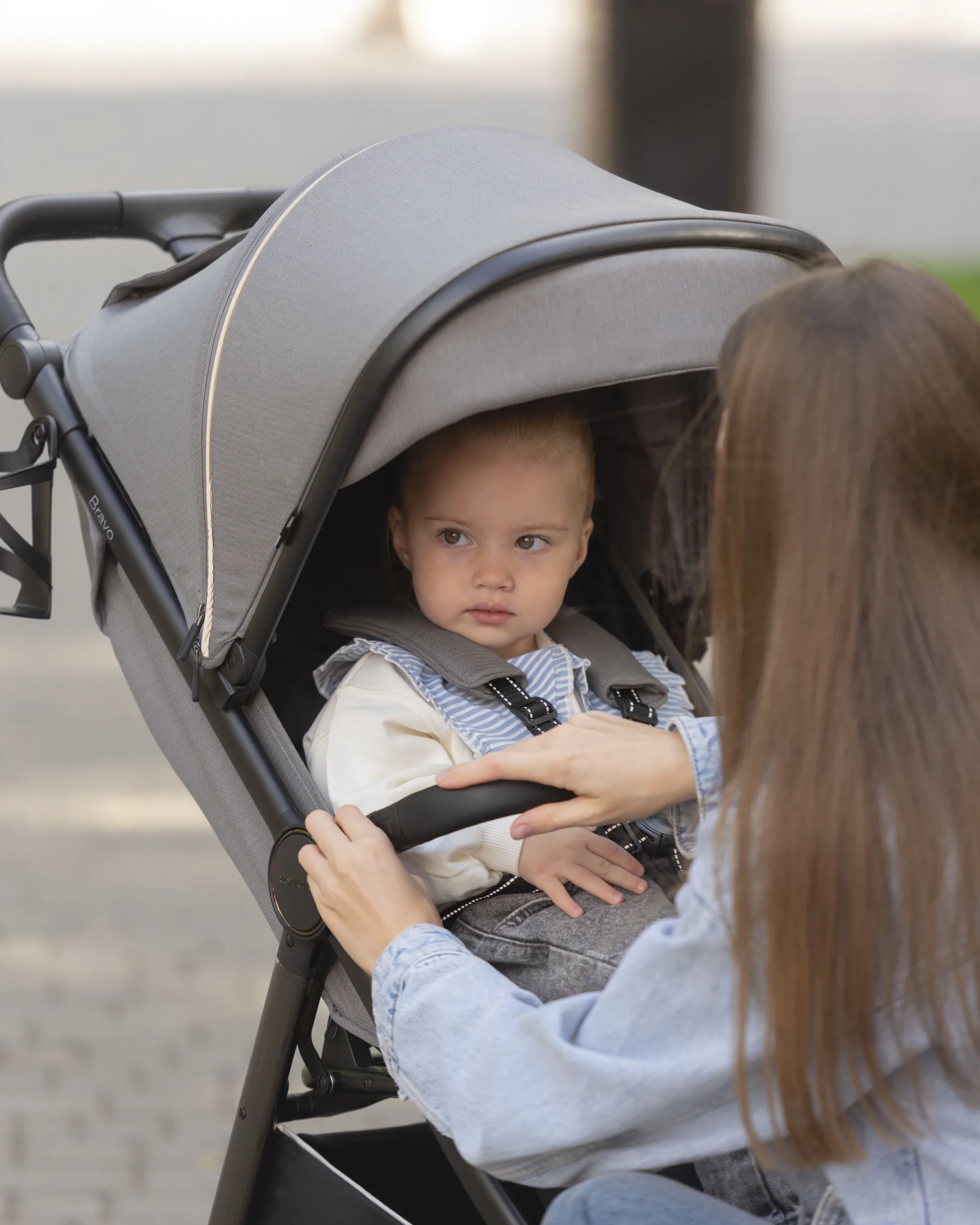 i_Сarrello Bravo+_03