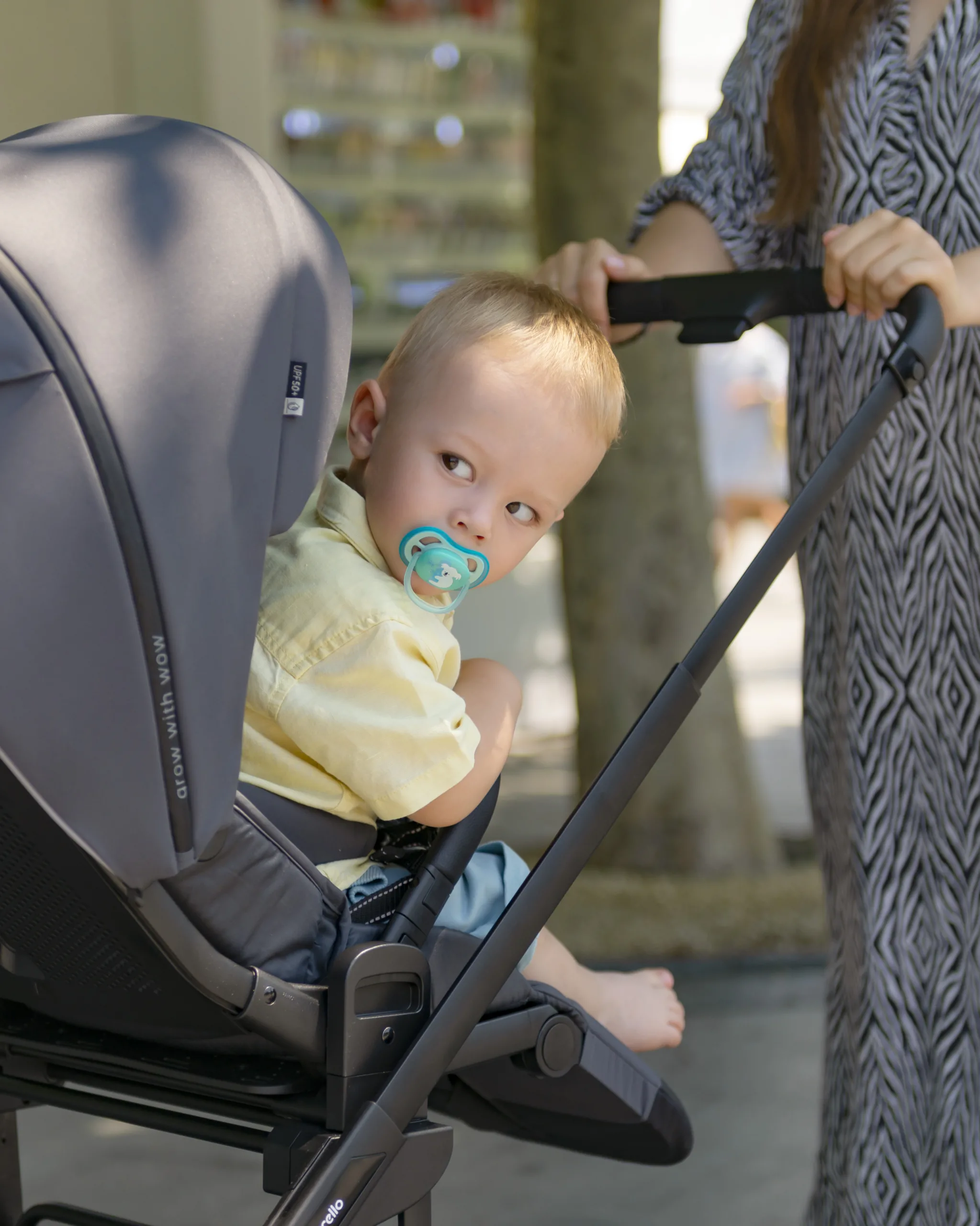 Carrello Alfa 2023_05