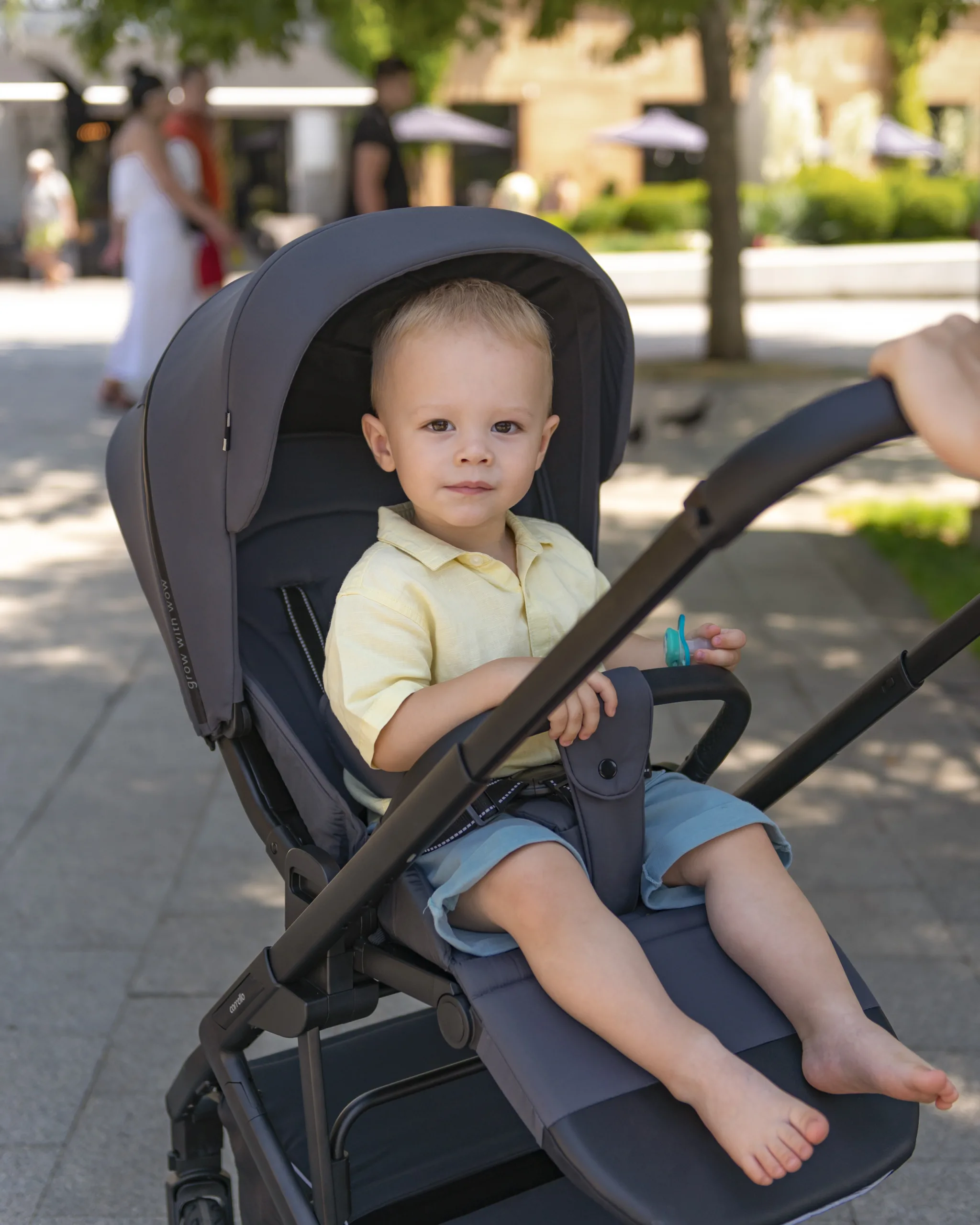 Carrello Alfa 2023_06