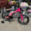 XBW-888-16-pink1