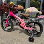 XBW-888-16-pink3