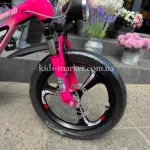 XBW-888-16-pink5
