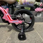 XBW-888-16-pink6