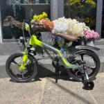 xbw-888-16-yellow-gray2