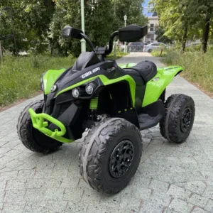 Квадроцикл повний привід Can-Am з пультом M 5001EBLR-5 зелений