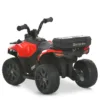 img (1)