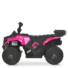 img (2)